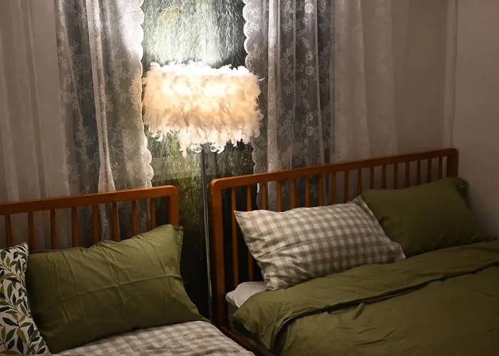Airport Bus Direct, 5min To Hongdae,hapjeong,k-pop,gangnam,entire Guest house 4*