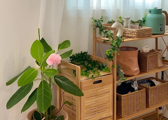 Airport Bus Direct, 5min To Hongdae,hapjeong,k-pop,gangnam,entire Guest house 4*